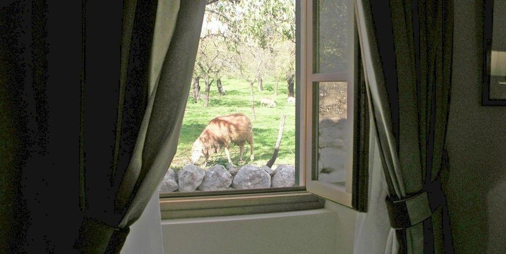 S'Hort De Cas Misser Boutique Hotel (Adults Only) Selva  Esterno foto